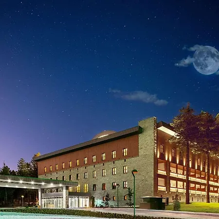 Otel Swissotel Uludag Bursa