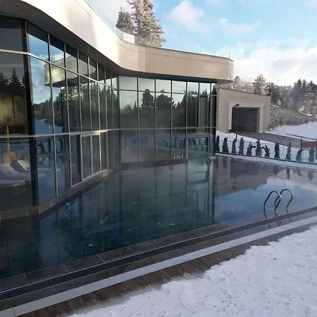 Otel Swissotel Uludag