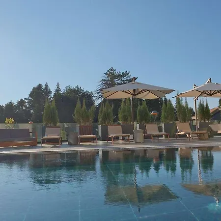 Otel Swissotel Uludag Bursa