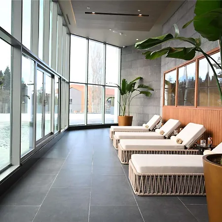 Swissotel Uludag Хотел *