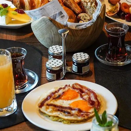 Hotel Swissotel Uludag *