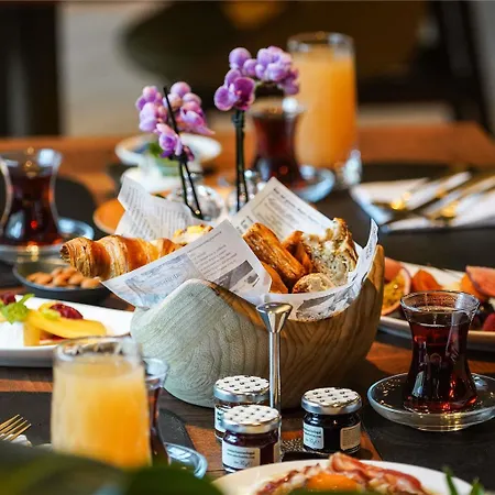 Hotel Swissotel Uludag *
