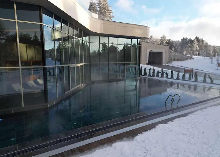 Hotel Swissotel Uludag