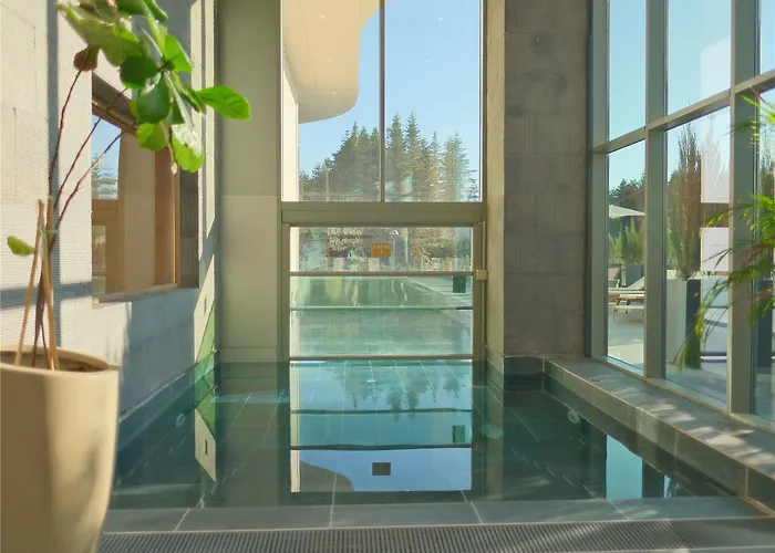 Hotel Swissotel Uludag