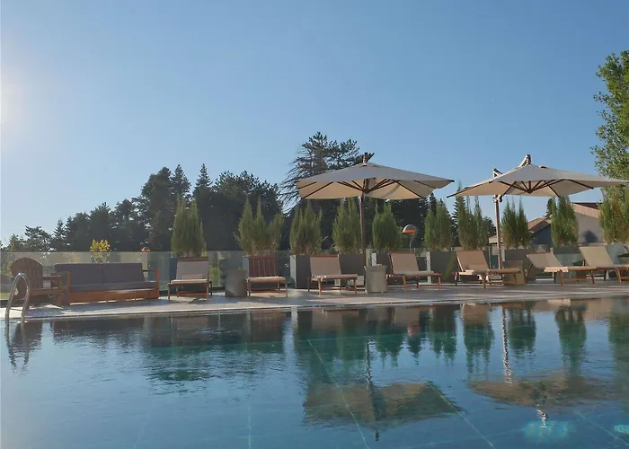 Swissotel Uludag Hotel Bursa