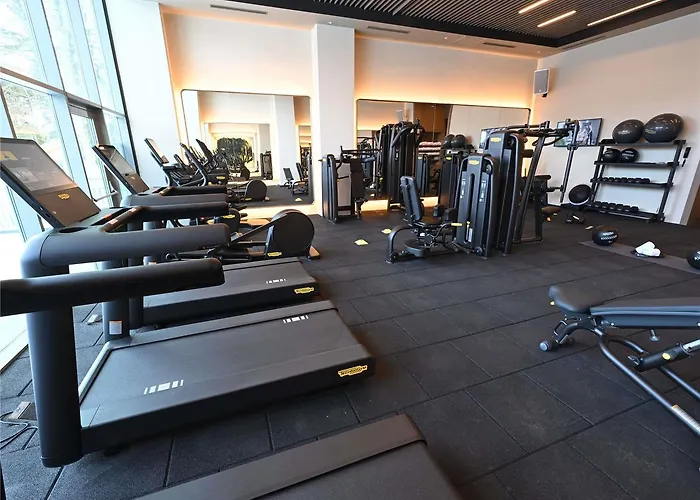 Hotel Swissotel Uludag