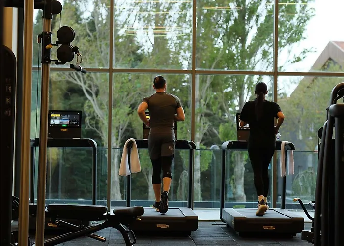 Hotel Swissotel Uludag Bursa