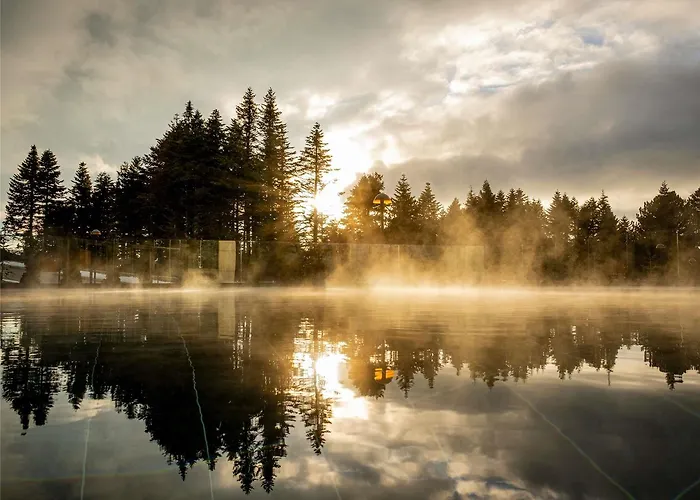Swissotel Uludag Hotel Bursa